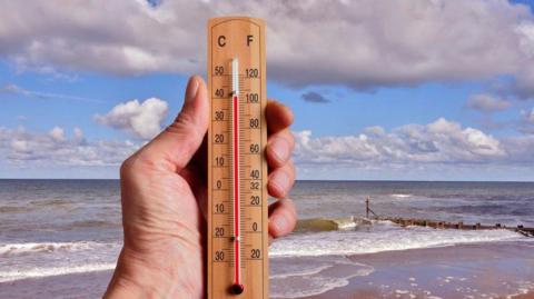 A hand holding a brown thermometer in front of waves, clouds and blue skies.