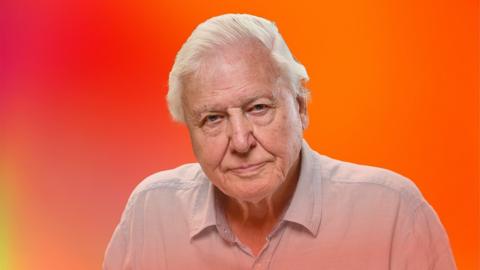 Sir David Attenborough on an orange gradient background
