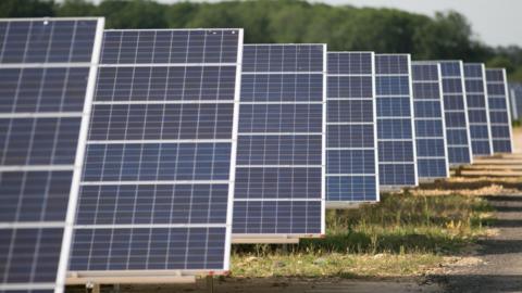 Rows of blue solar panels mounted on metal frames stretch diagonally across a field, forming a solar farm. The panels are arranged in parallel lines, with the nearest panels in sharp focus and those further away gradually fading into the background. A dirt track runs alongside the installation, and low grass and small plants grow beneath and between the structures. In the distance, a blurred line of green trees borders the site under a clear, pale sky.