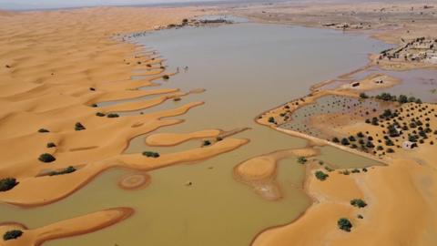 Lakes created by rainfall in the desert sand.