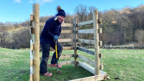 Tree planting in the Lake District