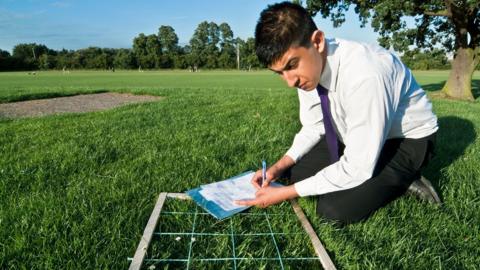 GCSE biology image: a man in a field with ecological equipment taking measurements on a notepad.