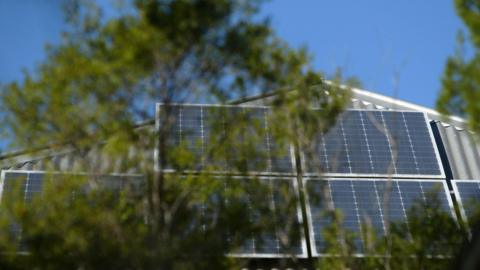 A generic image of solar panels on a roof, slightly obscured by a tree branch.