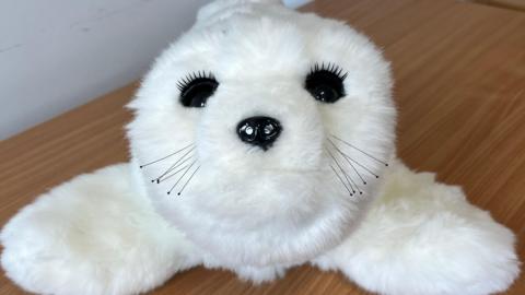 A white furred robot seal with wide open eyes