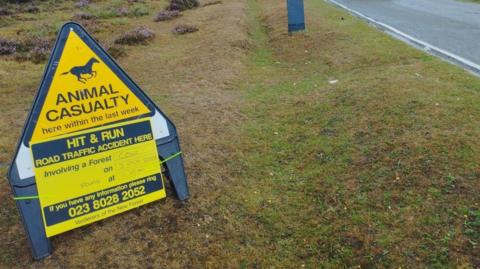 A triangular road warning sign is propped up on a patch of grass at the side of the road. The sign is yellow with a black outline and has the outline of a horse. Underneath the image, the sign reads 'Animal casualty here within the last week' then a separate yellow sign reads: "Hit and run road traffic accident here. Involving a forest cow on 3 Aug 2025 found at 11:10PM. If you have any information please ring 023282052. Verderers of the New Forest'