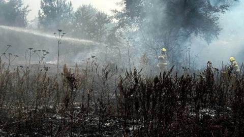 A field with dead plants growing out of it and trees in the distance, shrouded in thick smoke. Firefighters wearing uniform and helmets are stood on the field, with one of them using a water hose.