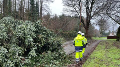 Two men in hi-vis clothes walk towards a fallen power line with a tree on the ground.