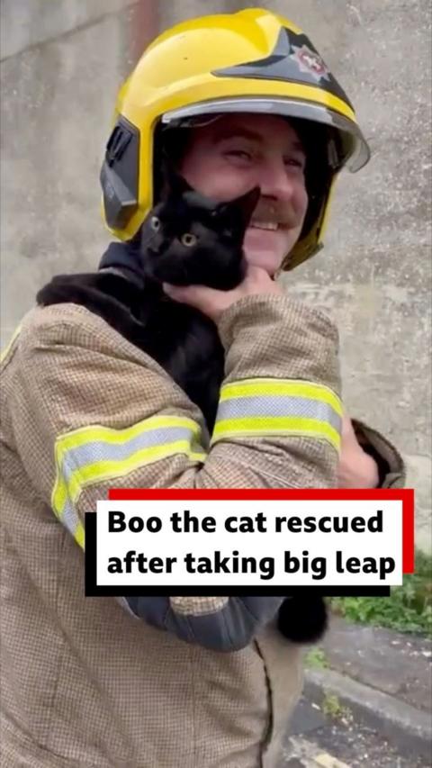 A firefighter holds a black cat to his chest and smiles