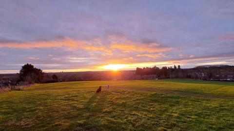 The sun coming over the horizon pictured through clouds, creating yellow and orange colours on them. There is a large area of green grass in the foreground with, a little bit in the distance, two dogs sitting on the grass and casting a shadow, with trees further away.