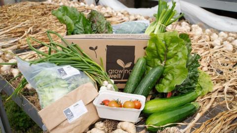 A collection of vegetables sitting on top of garlic plants. There is courgettes, tomatoes, spring onions and some leafy vegetables. Behind is a box with the Growing Well logo which has a small shoot where the i should be.