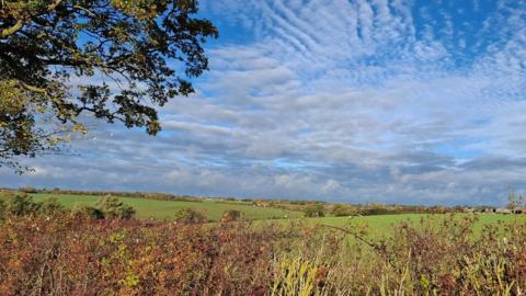 White clouds in a blue sky over fields with a tree to the left 