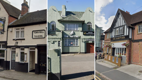 The Town Wall Tavern is a White building with black woodwork. The name of the pub is on a large plaque over the main entrance. The Lion's Inn is a a large building with a car park in front of it. It's painted in a light grey-green colour. The Aardvark is a brick-built pub with a black and white mock Tudor effect frontage.