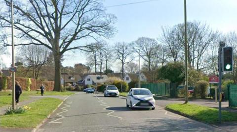 Google Streetview photograph of a grass-verged road outside a school. There is a pelican crossing and a 20mph speed limit sign.