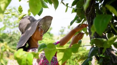 Seen Aromi in her vegetable garden outside her home in Gyeonggi-do province
