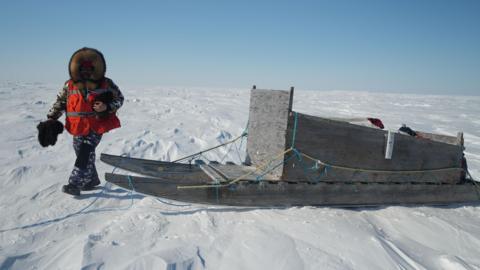 A man walking on snow with a fur collar and hi-vis jacket walks by a komatik, an indigenous sled.
