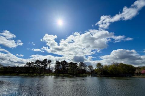 Sunny sky with scattered clouds over a calm lakeside scene.