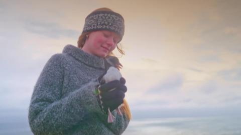 Girl holding baby puffin. 