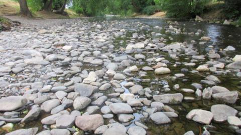 Afon Elwy