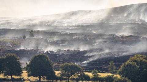 Smoke from a wildfire is blowing across a blackened mountainside with a few trees in the foreground which haven't been burnt.