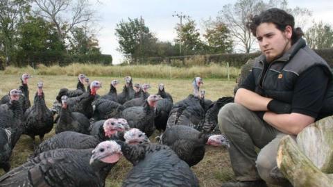 John Wright kneeling down next to a flock of turkeys  