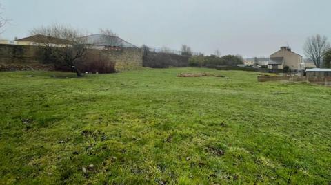 A patch of open grassland with a tree in the distance. In the distance are several terraced houses, while behind a wall there are some other buildings.