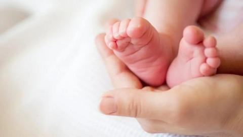 Adult hand holding a baby's foot