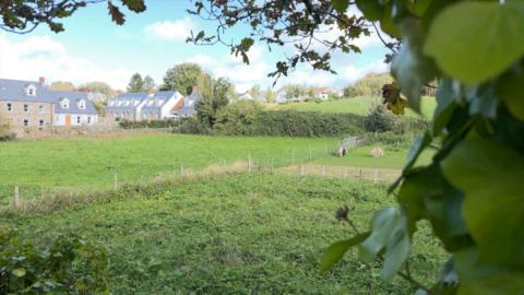 A grassy field surrounded by hedges, trees and houses.