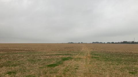 A large field with short, yellow/green grass, on a grey day