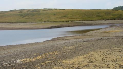 Mae Cyfoeth Naturiol Cymru yn asesu'r sefyllfa mewn sawl ardal, fel yma yn Llyn Aled Isaf