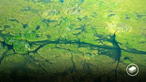 An aerial view photograph of the Okavango Delta, Botswana.