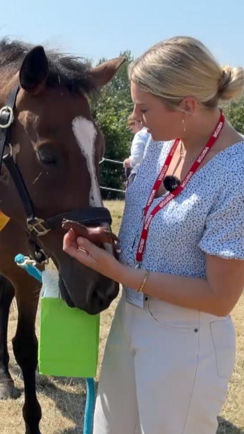 A woman looking at her horse with a blue blouse on light-coloured trousers.