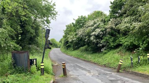 A single lane road with bushes either side