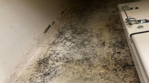 Heavy black marks on a cream-coloured wall indicative of extensive mould growth.
