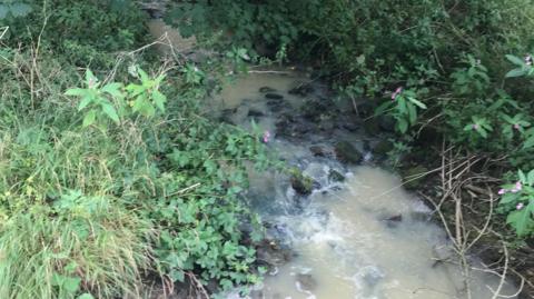 A narrow, muddy stream flows through a densely vegetated woodland area, surrounded by trees and thick green undergrowth. Wooden fencing and stakes are visible along the banks, partially overgrown and weathered. The water appears cloudy and disturbed, with rocks, branches, and small plants scattered along the stream’s edge.