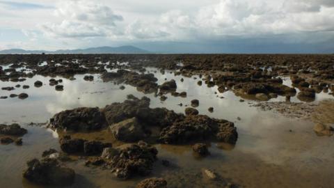 View of a rocky shoreline with partially submerged reefs stretching into the distance under cloudy skies.
