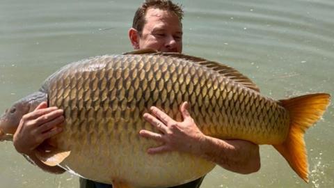A man standing in a fishing river holding a large carp.