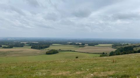 A view from the top of a hill over green fields near Combe featuring groups of trees that blend into the horizon as the ground meets the grey clouds above. 