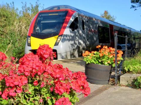 A grey train with a yellow and red front stands next to a station platform with red and orange flowers in planters on it.
