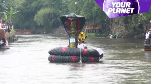 A fake snake on a river