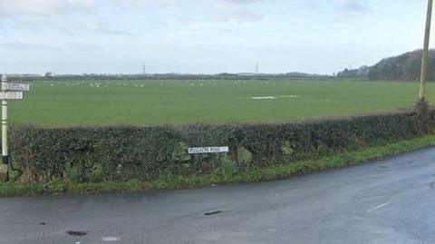 Roseacre Road street sign in front of a hedge surrounding a field with sheep in the distance.