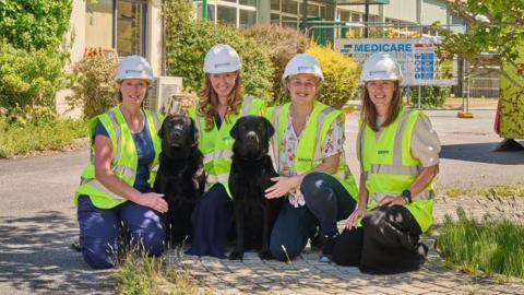 Four women in high viz tops and white hard hats, with two black labradors
