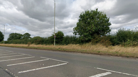 A hedge and tree next to a roadside with white road markings 
