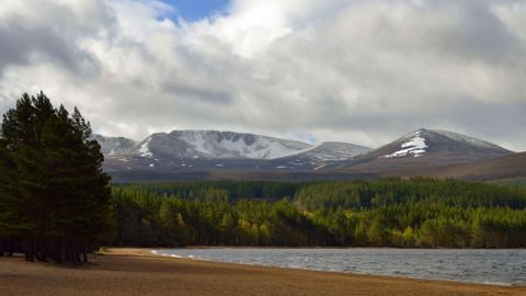 Tràigh Loch Mòrlaich