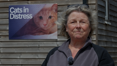 A midshot of Ginny looking to camera in front of a wood-clad building with a large poster of a tabby cat's face and the words 'Cats in Distress'
