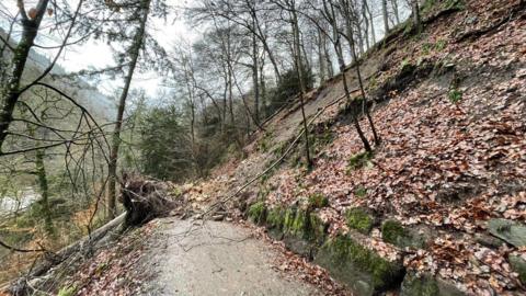 Allen Banks and Staward Gorge 