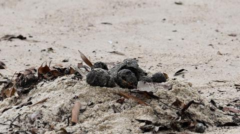 'Tar balls' on the beach.