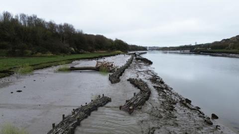 The river which has a large beach of silt and mud on the side to the left of the photo. There are bits of wood and some green plants on the marsh. To the left there is a stretch of grass and trees, away from the river channel.
