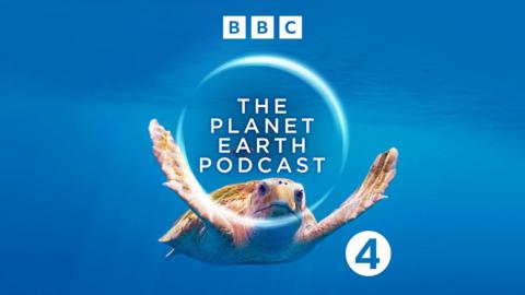 The Planet Earth Podcast