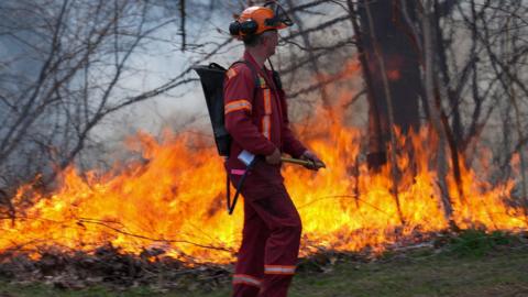 The Inquiry: How can Canada fight its wildfires?