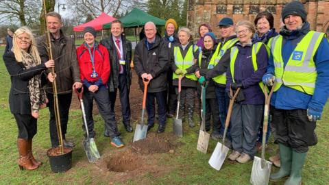 Tree planting